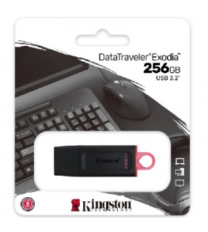 740617310023 PEN DRIVE USB KINGSTON 3.2 256 GB DTX/256GB