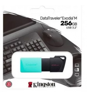 740617326383 PEN DRIVE USB KINGSTON 3.2 256 GB DTXM/256GB